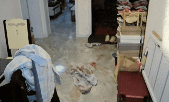 情侣争执女子胸口中刀死亡 男友一审无罪-第1张图片